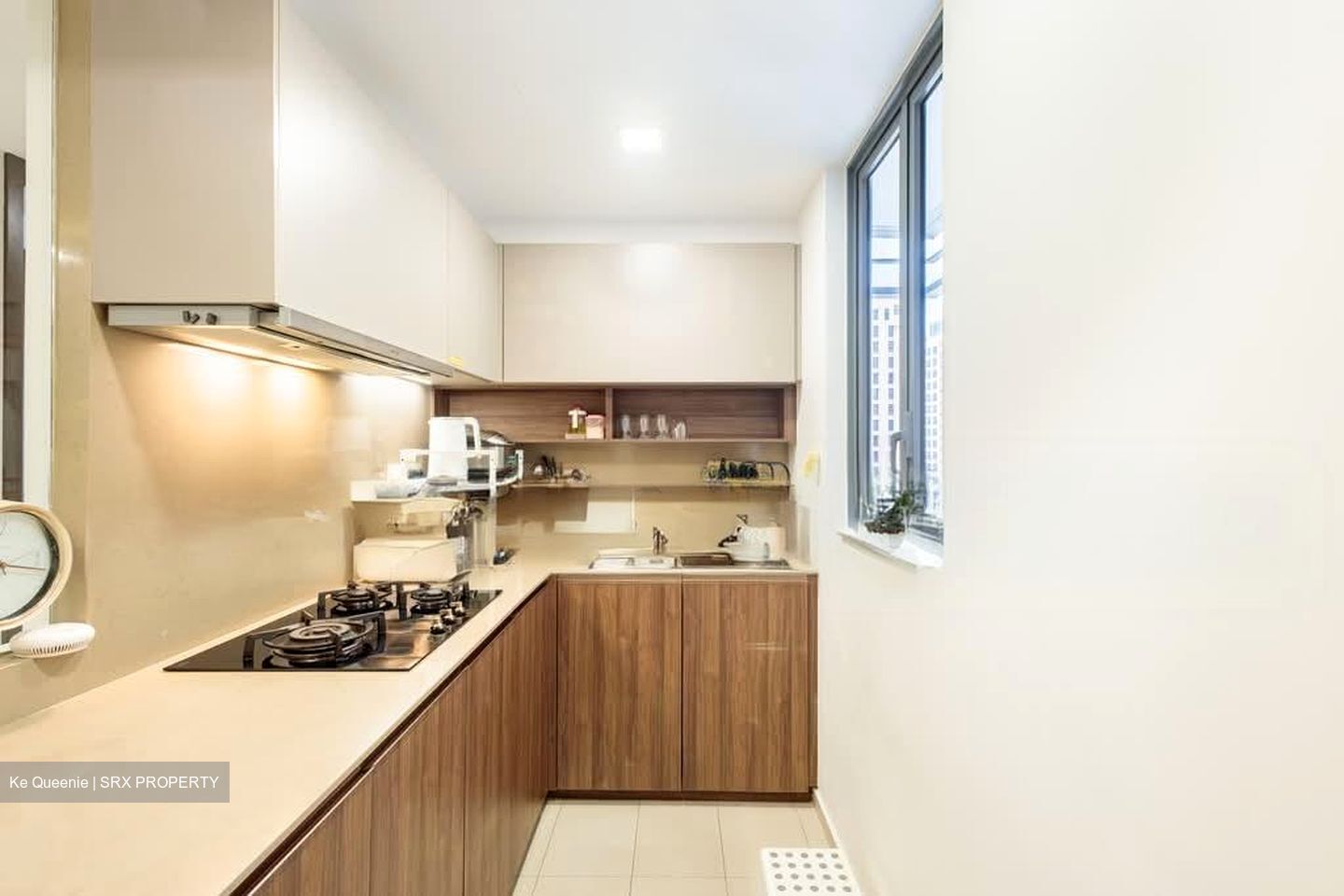 JadeScape (D20), Condominium #558124611